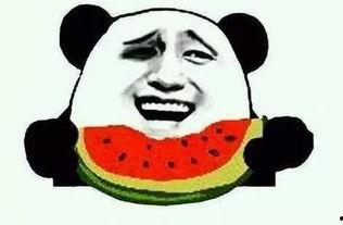 娱乐吃瓜最后一集是什么